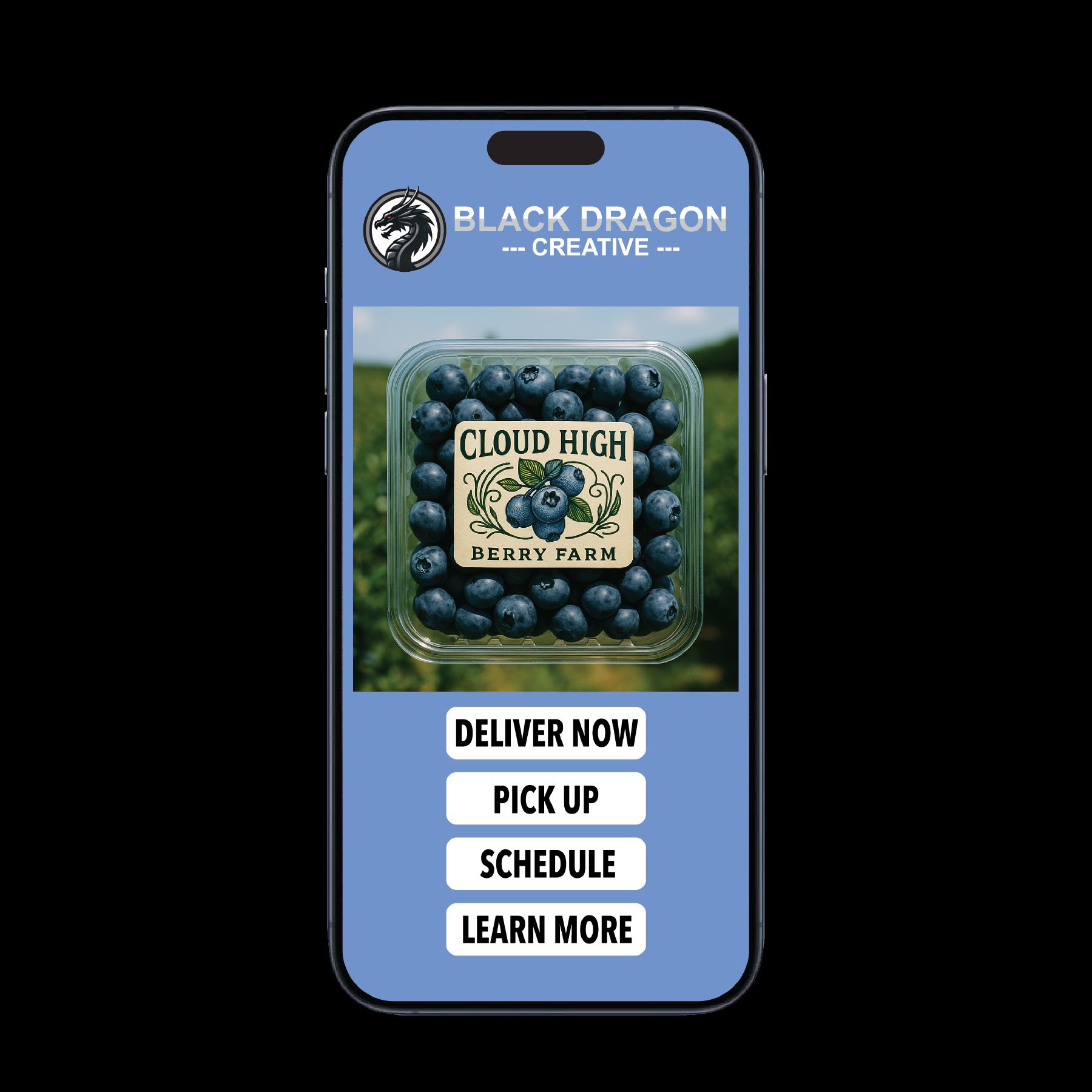 BLACK DRAGON CREATIVE